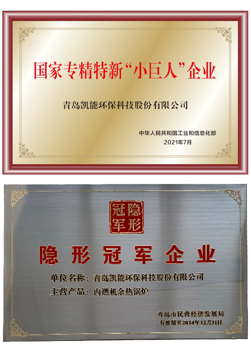 專精特新“小巨人”企業(yè)、隱形冠軍企業(yè)